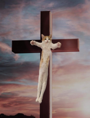 holy cat mascot